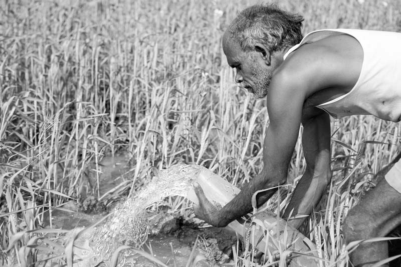 Men and Water Needs from Gender Perspective - Irrigating wheat fields in Bhojpur district, Bihar